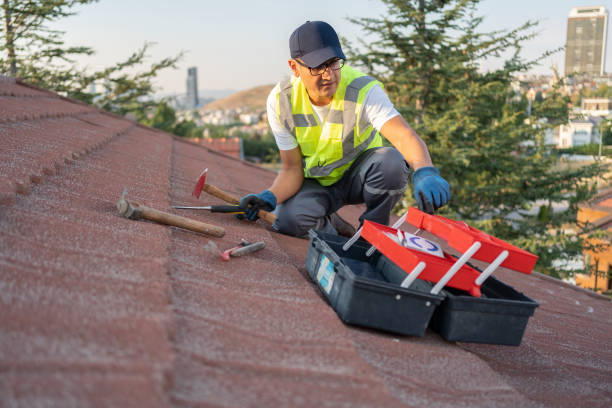 Best Stucco Siding  in Sunland Park, NM